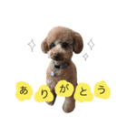 こどもと犬（個別スタンプ：2）