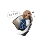こどもと犬（個別スタンプ：34）