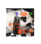 ぶりさんの日常（個別スタンプ：2）