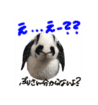 ぶりさんの日常（個別スタンプ：5）