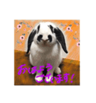 ぶりさんの日常（個別スタンプ：6）