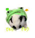 ぶりさんの日常（個別スタンプ：10）