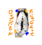 ぶりさんの日常（個別スタンプ：13）
