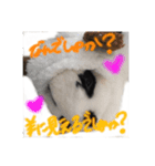 ぶりさんの日常（個別スタンプ：16）