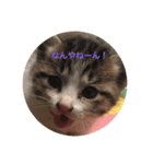 ちるどれんコマムギ（個別スタンプ：1）