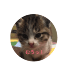 ちるどれんコマムギ（個別スタンプ：2）