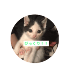 ちるどれんコマムギ（個別スタンプ：5）