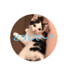 ちるどれんコマムギ（個別スタンプ：6）