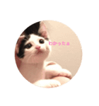 ちるどれんコマムギ（個別スタンプ：7）