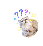 らむべりシリーズ（個別スタンプ：5）