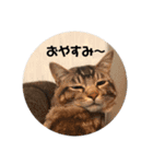 もん吉 4（個別スタンプ：2）