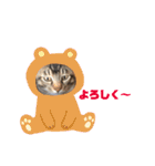 もん吉 4（個別スタンプ：22）