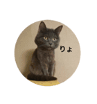 いくら先生②（個別スタンプ：1）