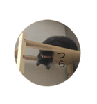 いくら先生②（個別スタンプ：4）