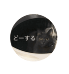 いくら先生②（個別スタンプ：5）