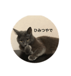 いくら先生②（個別スタンプ：7）