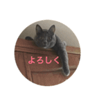 いくら先生②（個別スタンプ：9）