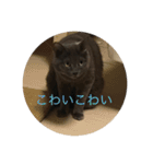 いくら先生②（個別スタンプ：16）