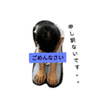 れみこ100パーセント（個別スタンプ：13）