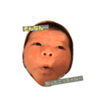 はぁたんuntil2m（個別スタンプ：4）