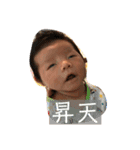 はぁたんuntil2m（個別スタンプ：16）