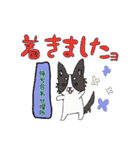 ワンわんライフ①（個別スタンプ：3）