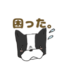 ワンわんライフ①（個別スタンプ：13）