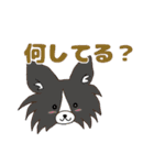 ワンわんライフ①（個別スタンプ：14）