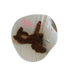 犬でっせ（個別スタンプ：4）