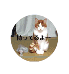 岩田さんの日常。（個別スタンプ：9）