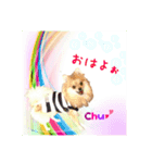 日常会話に♡（個別スタンプ：1）