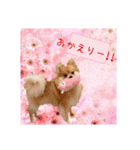 日常会話に♡（個別スタンプ：6）