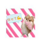 日常会話に♡（個別スタンプ：10）