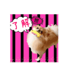 日常会話に♡（個別スタンプ：11）