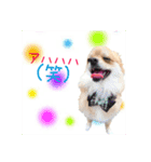 日常会話に♡（個別スタンプ：15）