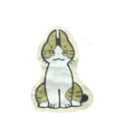 きょうだい猫（個別スタンプ：2）