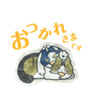 きょうだい猫（個別スタンプ：5）