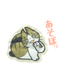 きょうだい猫（個別スタンプ：7）