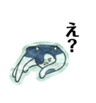 きょうだい猫（個別スタンプ：12）