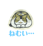 きょうだい猫（個別スタンプ：16）