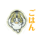 きょうだい猫（個別スタンプ：17）