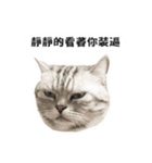 バナナの不機嫌生活（個別スタンプ：1）