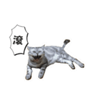 バナナの不機嫌生活（個別スタンプ：4）
