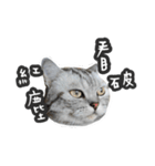 バナナの不機嫌生活（個別スタンプ：9）