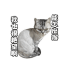 バナナの不機嫌生活（個別スタンプ：16）