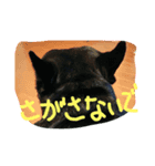 フレブル ルーシィー（個別スタンプ：14）