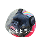 フレブル ルーシィー（個別スタンプ：23）