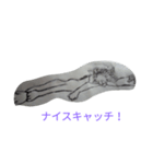犬猫のスタンプです（個別スタンプ：2）