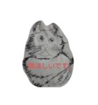 犬猫のスタンプです（個別スタンプ：5）