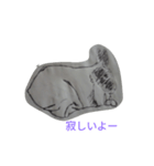犬猫のスタンプです（個別スタンプ：8）